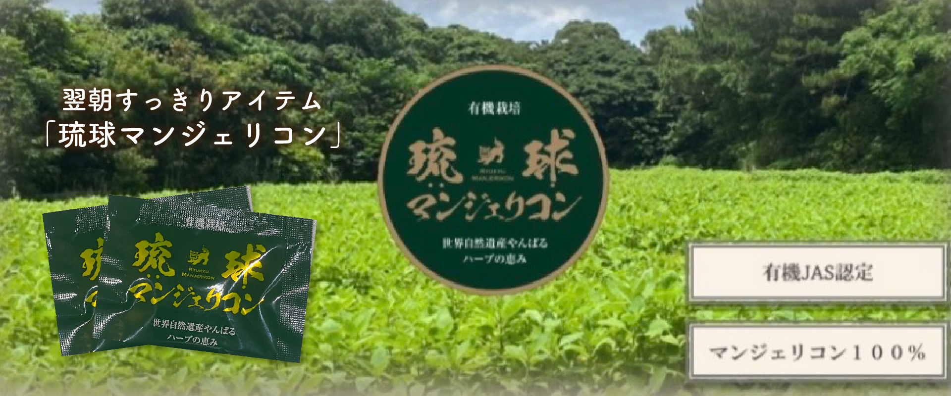 桜の花びら(厚みあり) 琉球マンジェリコン90粒入り(250mg×90粒) | www